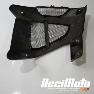 Flanc de carénage avant (gauche) YAMAHA XTZ 1200 SUPER T