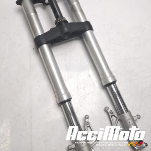 Fourche complète APRILIA FUTURA RST1000