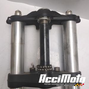 Fourche complète APRILIA FUTURA RST1000