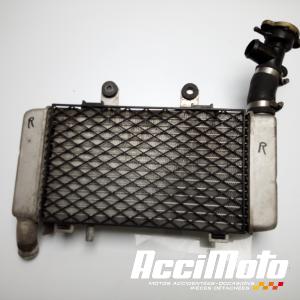 Radiateur de refroidissement HONDA VFR800 FI (98-01)