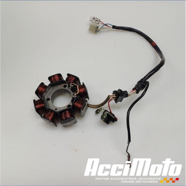 Part Motor bike Stator d'alternateur YAMAHA YBR 125