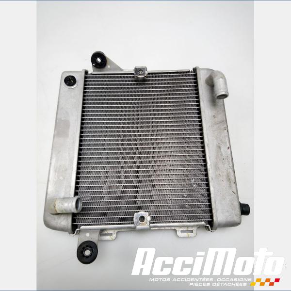 Part Motor bike Radiateur de refroidissement HONDA FORZA NSS300