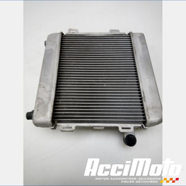 Part Motor bike Radiateur de refroidissement HONDA FORZA NSS300