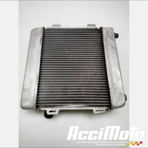 Part Motor bike Radiateur de refroidissement HONDA FORZA NSS300