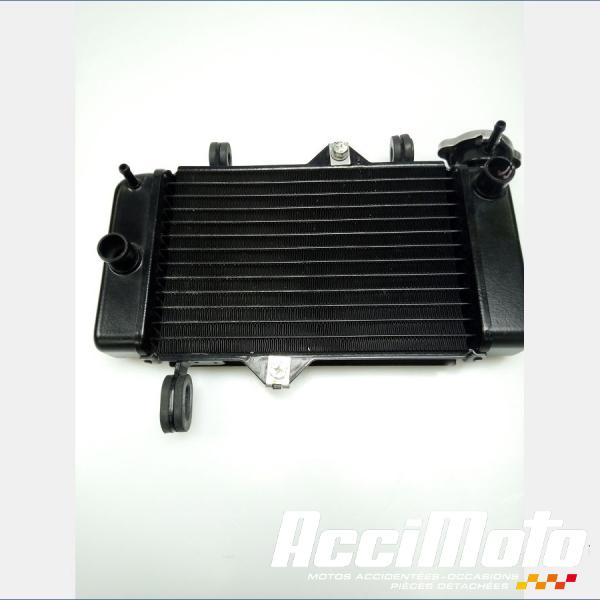 Pièce Moto Radiateur de refroidissement YAMAHA MT 125