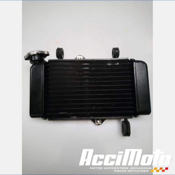 Pièce Moto Radiateur de refroidissement YAMAHA MT 125