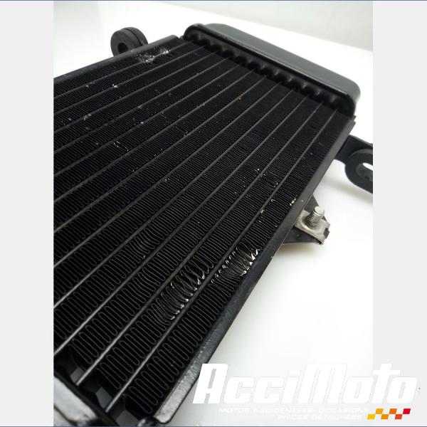 Pièce Moto Radiateur de refroidissement YAMAHA MT 125