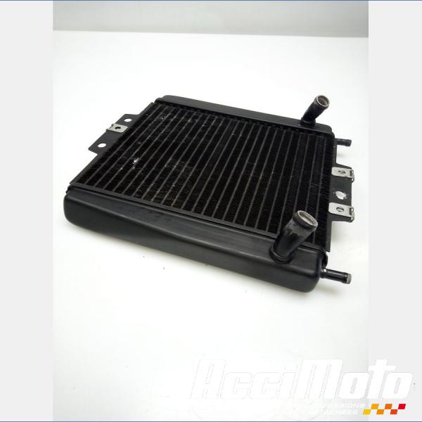 Pièce Moto Radiateur de refroidissement PIAGGIO MP3 400