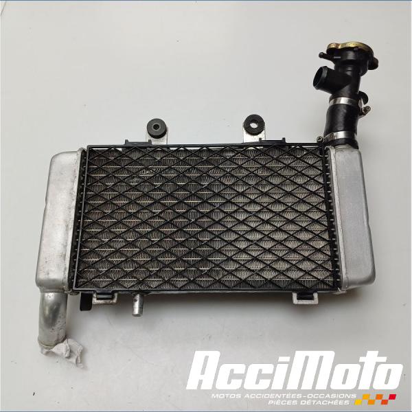 Part Motor bike Radiateur de refroidissement HONDA VFR800 FI (98-01)