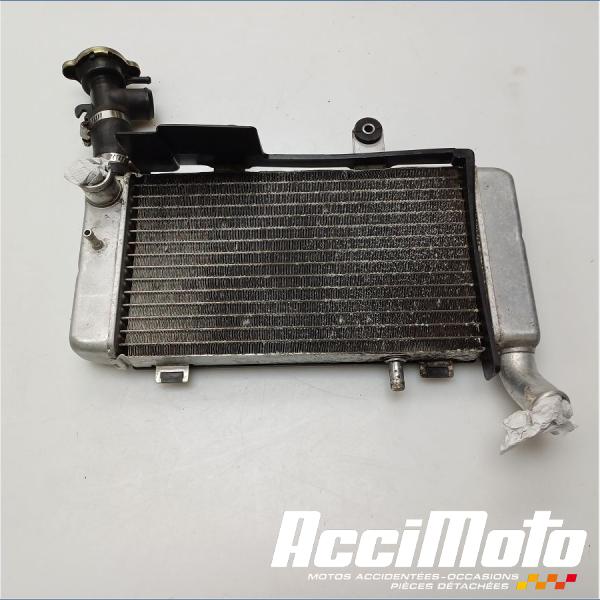 Pièce Moto Radiateur de refroidissement HONDA VFR800 FI (98-01)