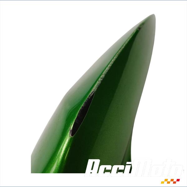 Pièce Moto Coque arrière (gauche) KAWASAKI Z 1000