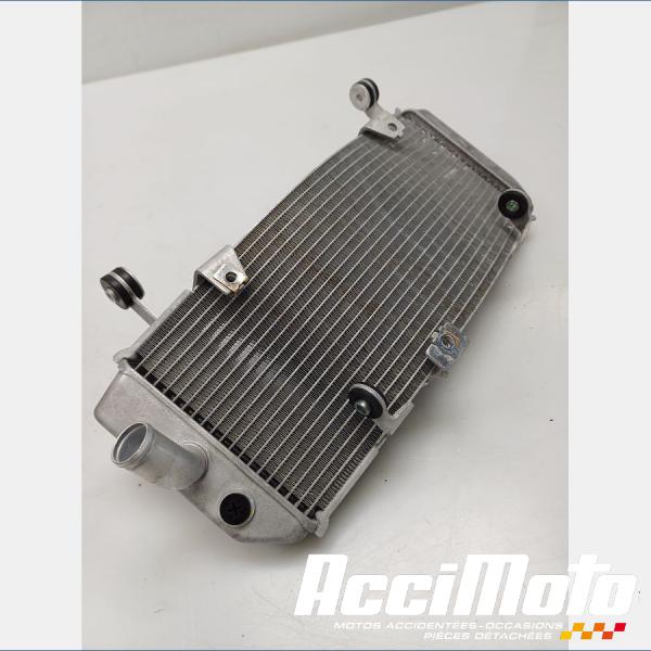 Pièce Moto Radiateur de refroidissement YAMAHA TMAX XP530 DX