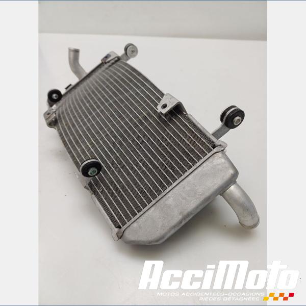 Part Motor bike Radiateur de refroidissement YAMAHA TMAX XP530 DX