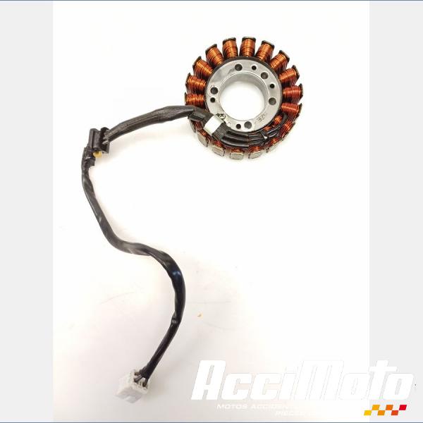 Part Motor bike Stator d'alternateur KAWASAKI ER6 N