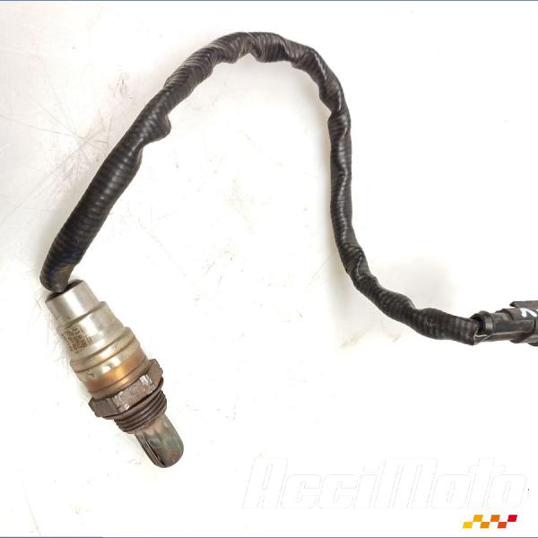 Part Motor bike Sonde lambda HARLEY DAVIDSON V-ROD VRSCA/B