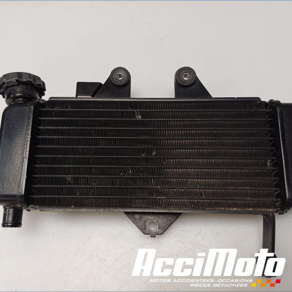 Pièce Moto Radiateur de refroidissement HONDA SHADOW VT125C