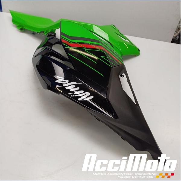 Pièce Moto Flanc de carénage avant (gauche) KAWASAKI NINJA EX400