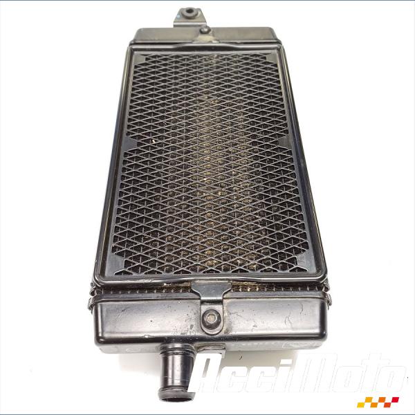 Part Motor bike Radiateur de refroidissement TRIUMPH STREET SCRAMBLER 900