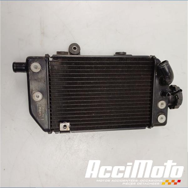 Pièce Moto Radiateur de refroidissement HONDA TRANSALP XL700V