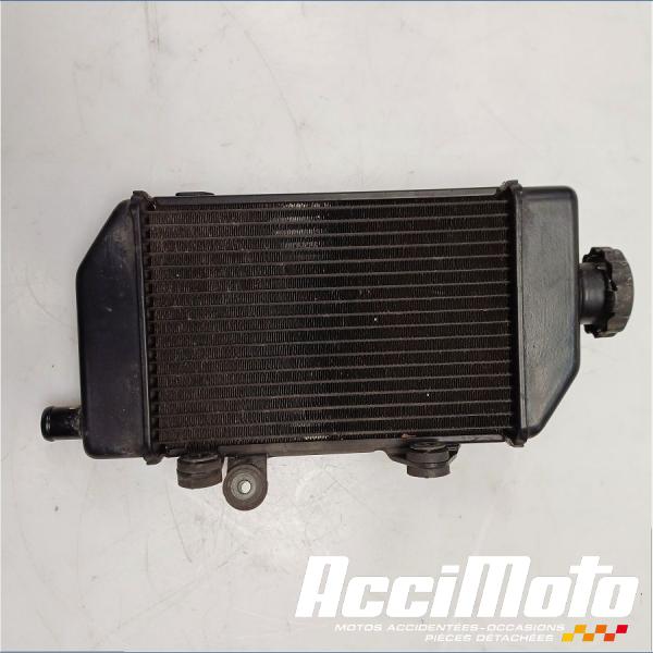 Pièce Moto Radiateur de refroidissement HONDA TRANSALP XL700V