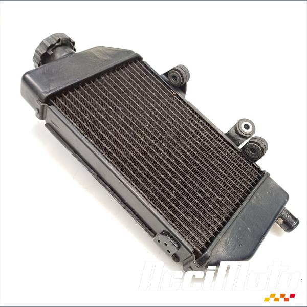 Part Motor bike Radiateur de refroidissement HONDA TRANSALP XL700V