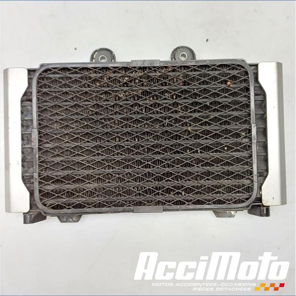 Pièce Moto Radiateur d'huile SUZUKI GSX 1200 INAZUMA