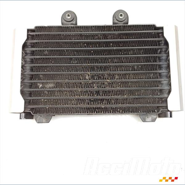 Pièce Moto Radiateur d'huile SUZUKI GSX 1200 INAZUMA