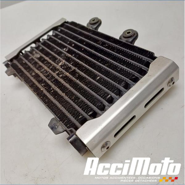 Pièce Moto Radiateur d'huile SUZUKI GSX 1200 INAZUMA