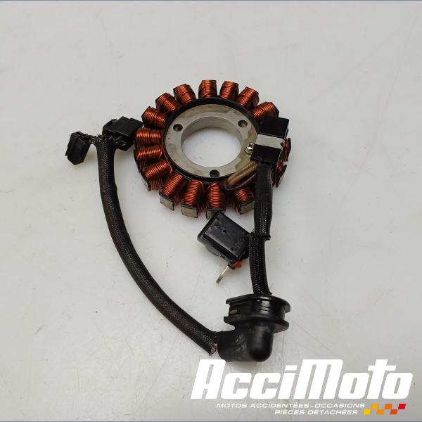 Pièce Moto Stator d'alternateur SUZUKI BANDIT GSF650N