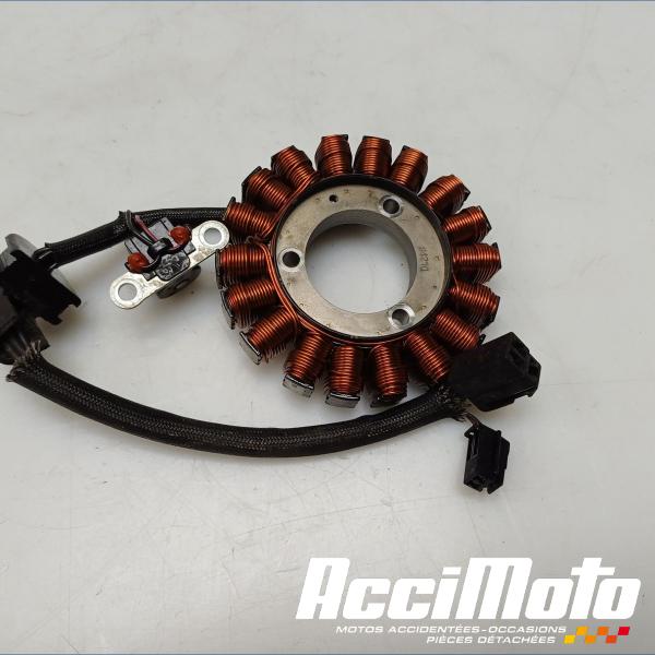 Pièce Moto Stator d'alternateur SUZUKI BANDIT GSF650N