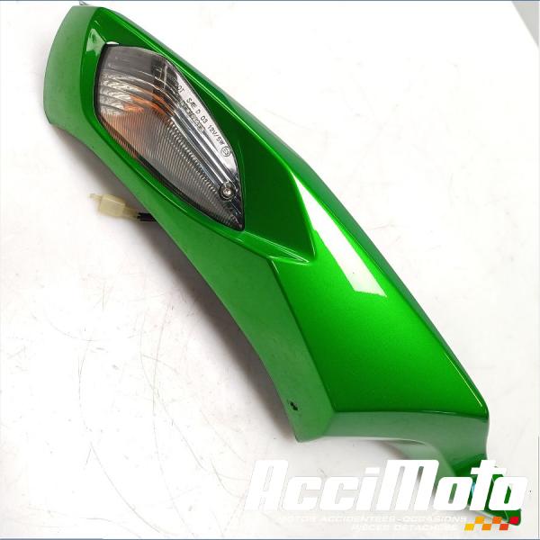 Part Motor bike Coque arrière (droite) KAWASAKI ZZR ZX1400