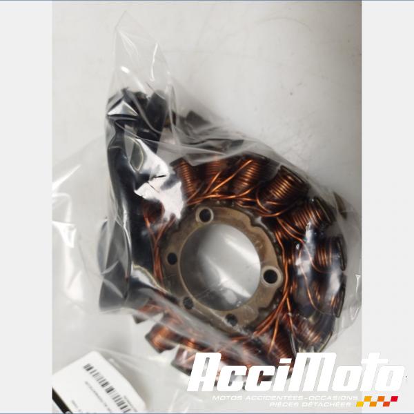 Part Motor bike Stator d'alternateur TRIUMPH SPEED TRIPLE 1050 