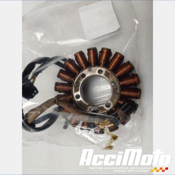 Part Motor bike Stator d'alternateur TRIUMPH SPEED TRIPLE 1050 