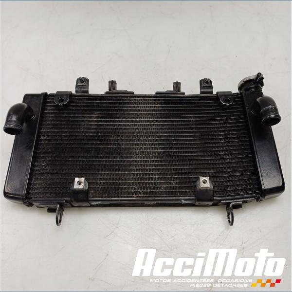 Part Motor bike Radiateur de refroidissement HONDA HORNET CB750