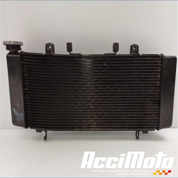 Part Motor bike Radiateur de refroidissement HONDA HORNET CB750