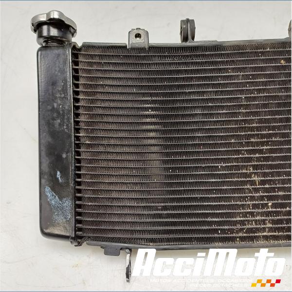 Part Motor bike Radiateur de refroidissement HONDA HORNET CB750