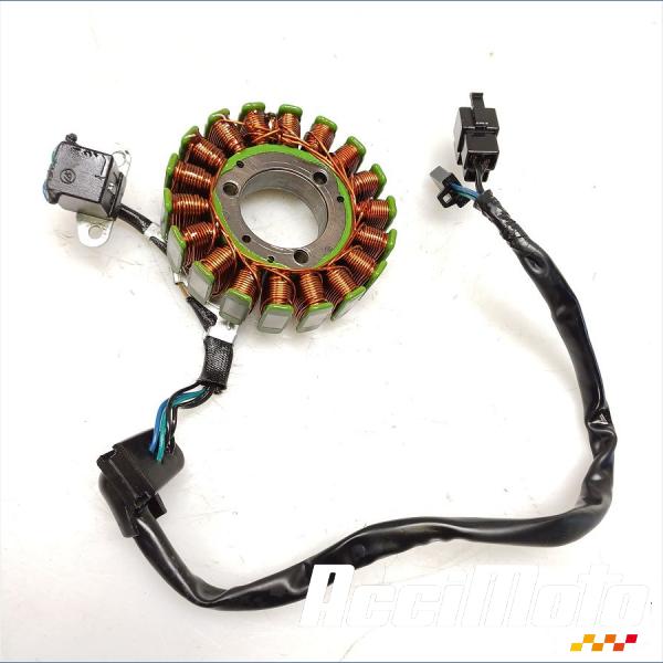 Pièce Moto Stator d'alternateur SUZUKI DR 125SM