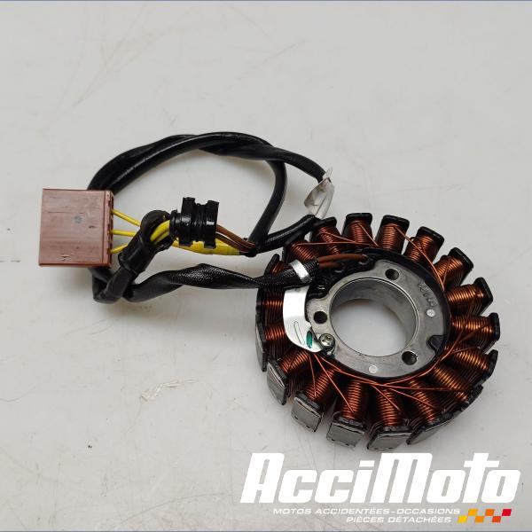 Pièce Moto Stator d'alternateur KTM 390 DUKE