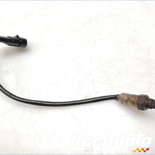 Pièce Moto Sonde lambda APRILIA TUONO 1100