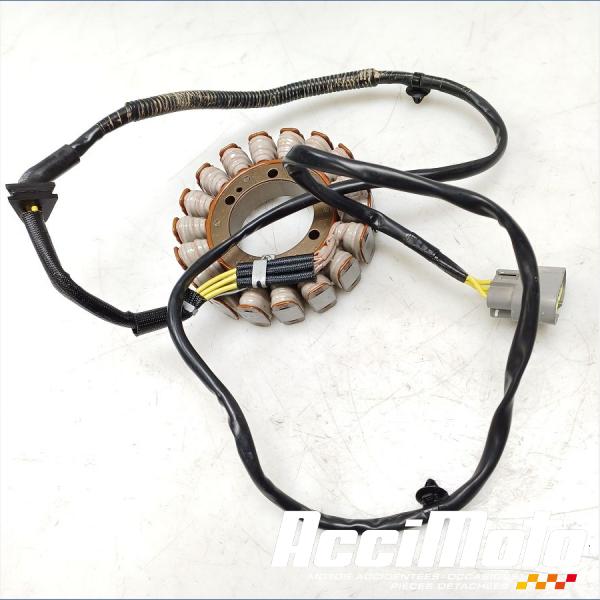 Part Motor bike Stator d'alternateur HONDA NT 1100