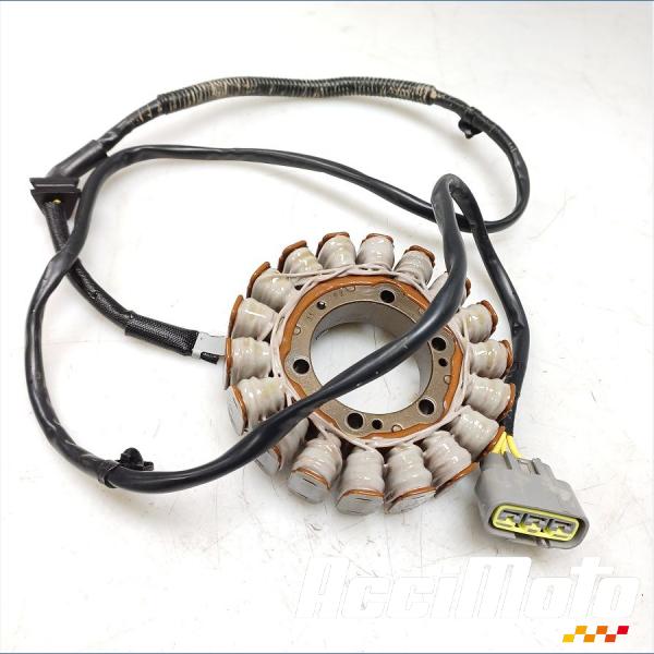 Part Motor bike Stator d'alternateur HONDA NT 1100