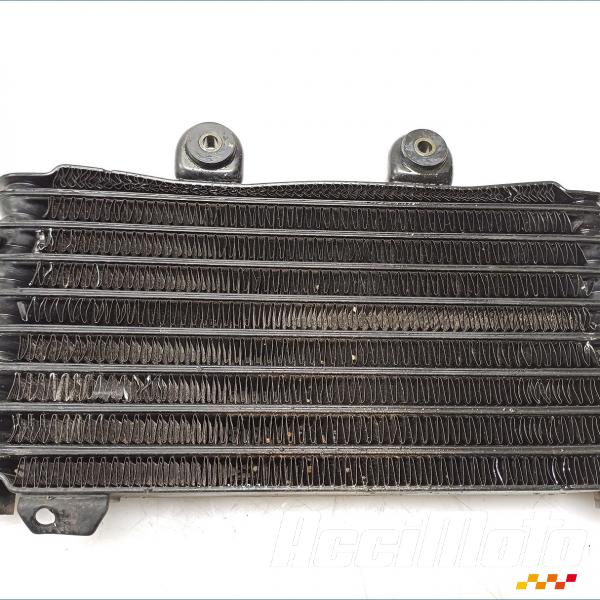 Part Motor bike Radiateur d'huile SUZUKI BANDIT GSF600S