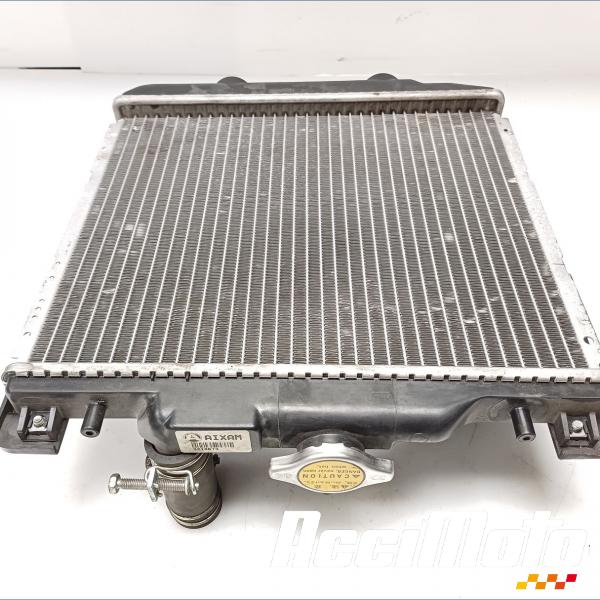 Part Motor bike Radiateur de refroidissement AIXAM MINAUTO