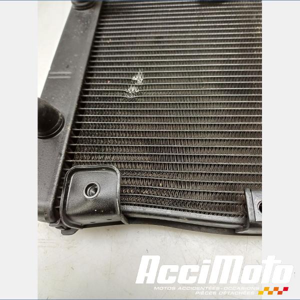 Part Motor bike Radiateur de refroidissement TRIUMPH TRIDENT 660