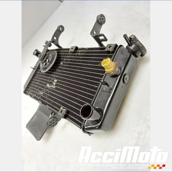 Part Motor bike Radiateur de refroidissement SUZUKI V-STROM DL650