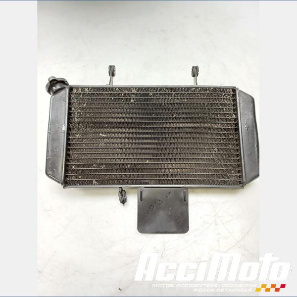 Part Motor bike Radiateur de refroidissement SUZUKI V-STROM DL650