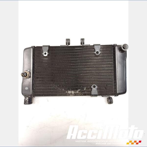 Part Motor bike Radiateur de refroidissement HONDA DEAUVILLE NT650V