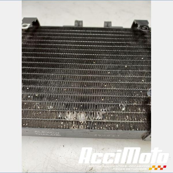 Part Motor bike Radiateur de refroidissement HONDA DEAUVILLE NT650V