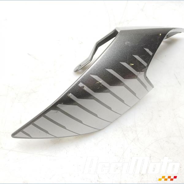 Part Motor bike Coque arrière (droite) TRIUMPH STREET TRIPLE 765 RS