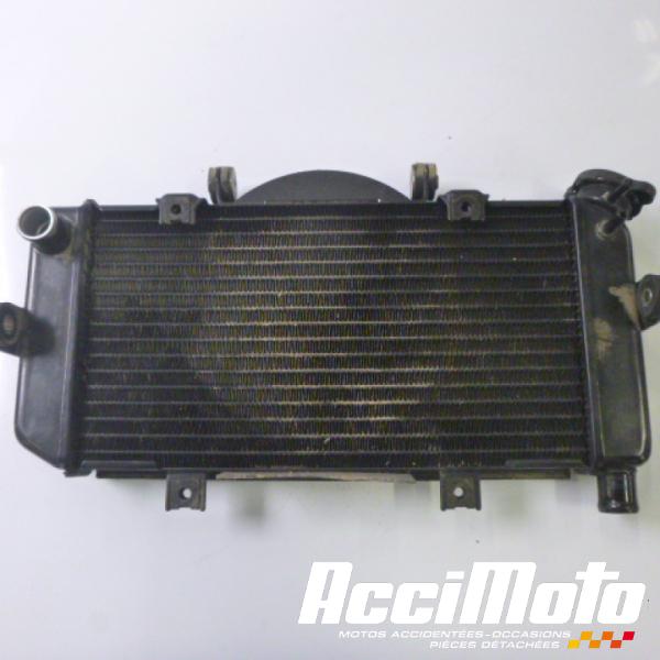 Pièce Moto Radiateur de refroidissement YAMAHA TDM 900